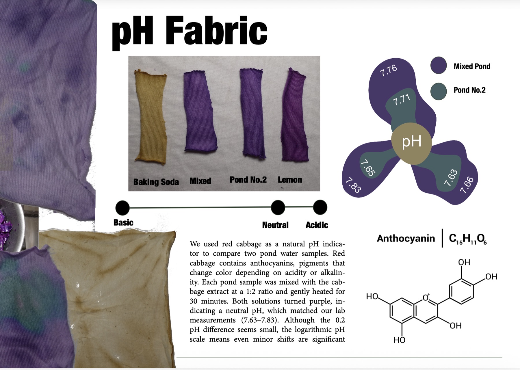 pH Fabric poster showing dyed fabric strips and pond pH readings