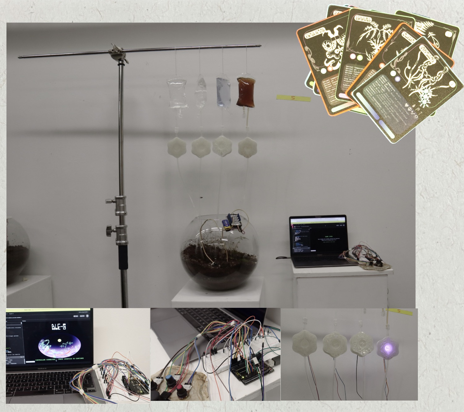 Installation with hanging drip vessels above a planted glass bowl, LED discs and a laptop readout