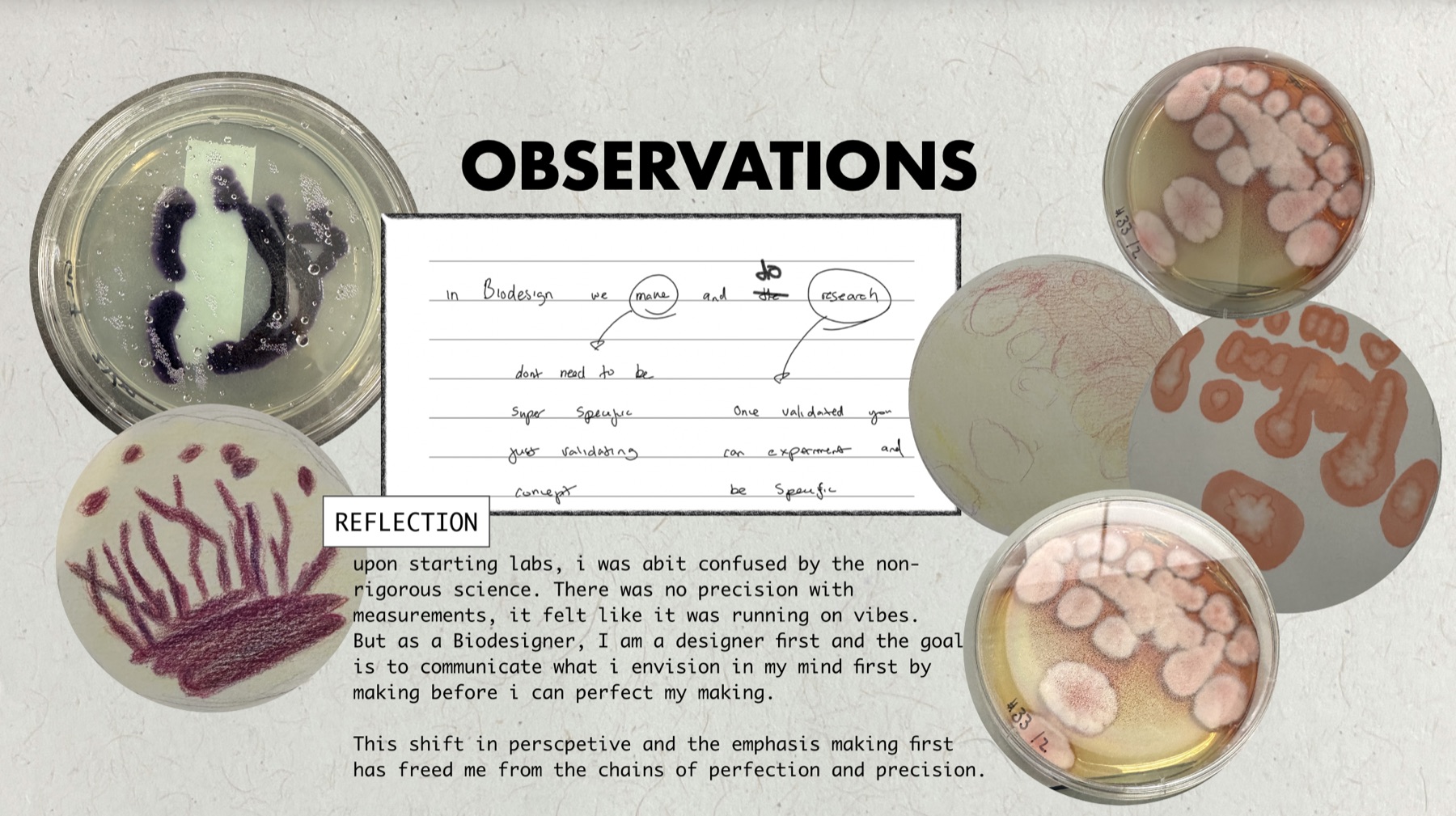 Observations board with petri dish cultures and a handwritten reflection note