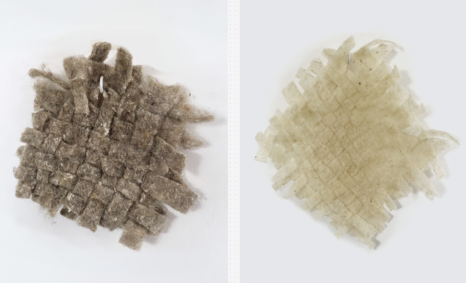 Two woven felt samples side by side, one raw wool and one bleached