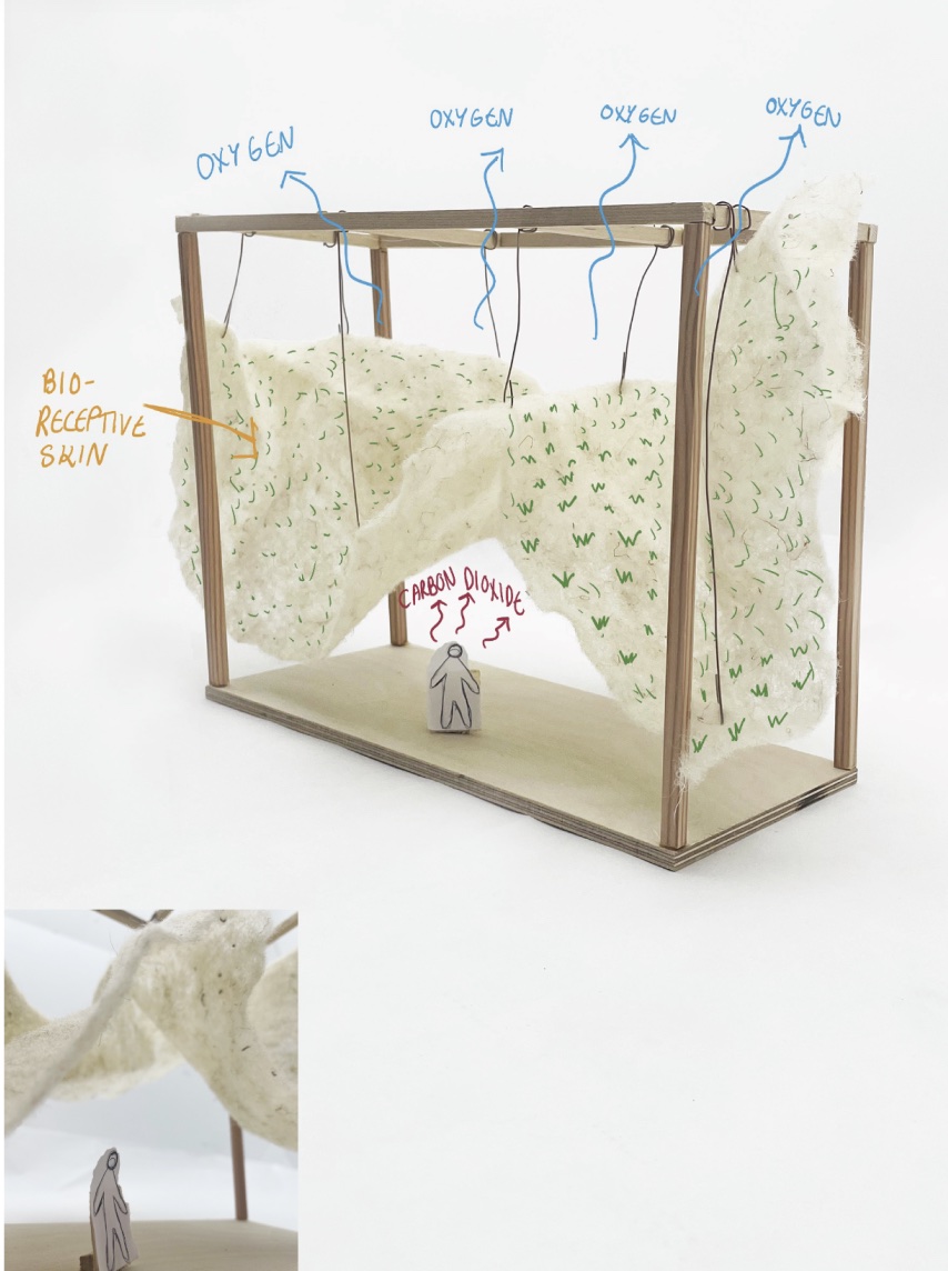 Pavilion model with draped woven panels sprouting seedlings, annotated with oxygen and carbon dioxide arrows around a figure standing inside